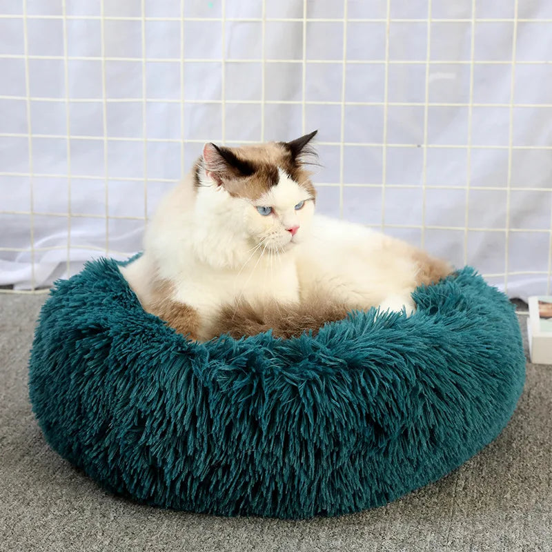 lit douillet pour chat et chien
