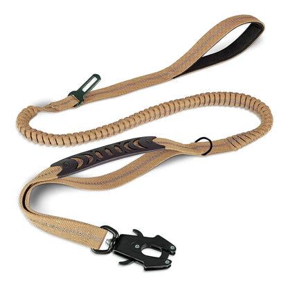 laisse élastique pour chien anti traction réfléchissante