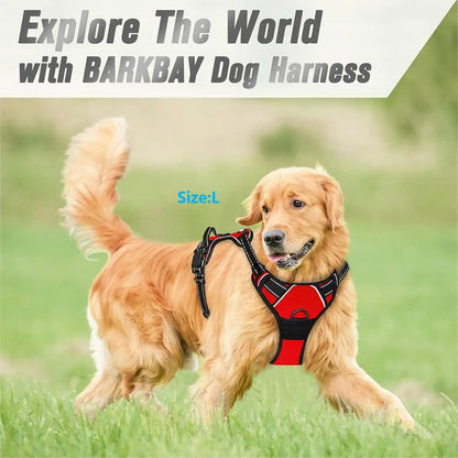 harnais anti-traction chien