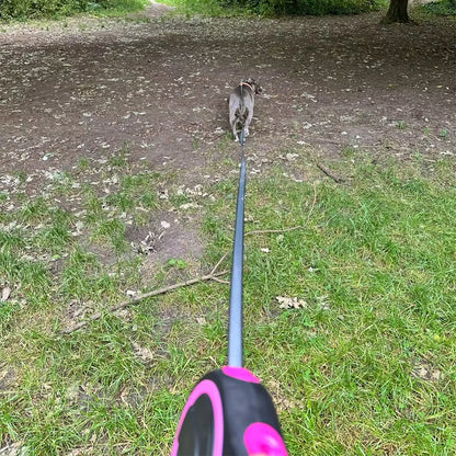 laisse rétractable pour chien 8m