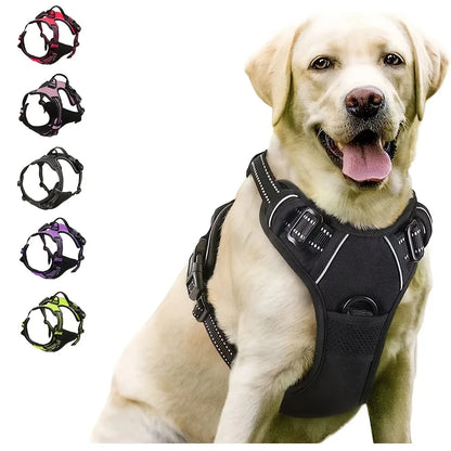 harnais anti-traction chien