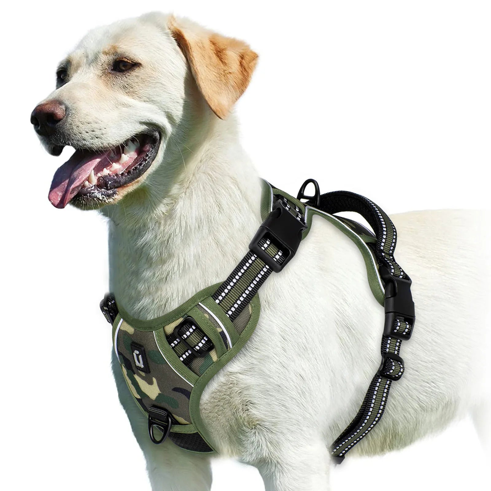harnais gilet chien anti traction rembourré poignée contrôle