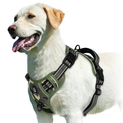 harnais gilet chien anti traction rembourré poignée contrôle