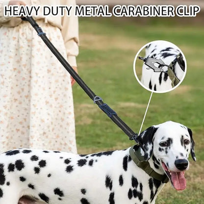 laisse élastique pour chien anti traction réfléchissante
