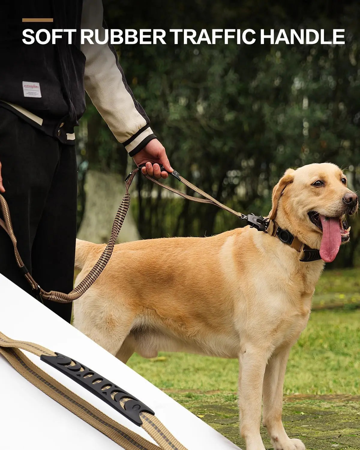 laisse élastique pour chien anti traction réfléchissante