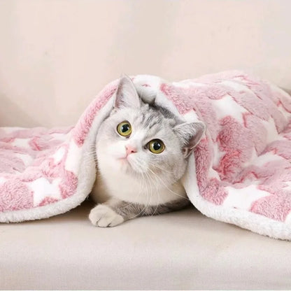coussin moelleux pour animaux hiver