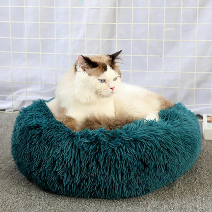 lit douillet pour chat et chien