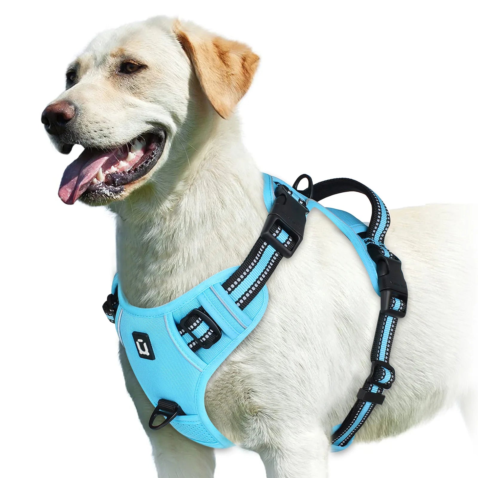 harnais gilet chien anti traction rembourré poignée contrôle