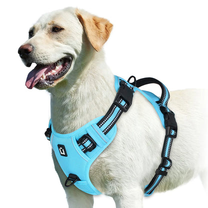 harnais gilet chien anti traction rembourré poignée contrôle