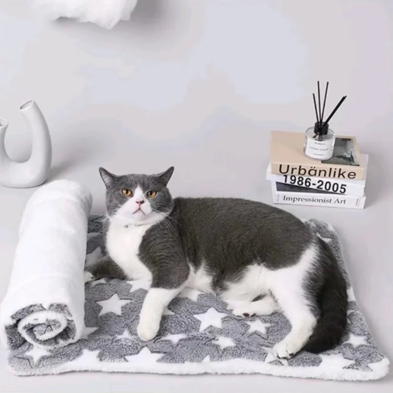 coussin moelleux pour animaux hiver