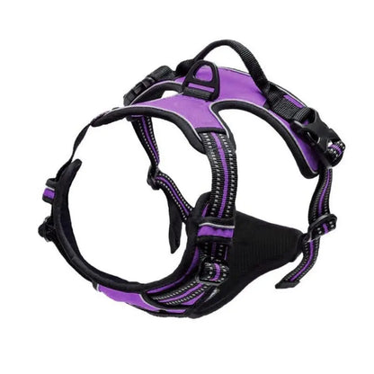 harnais anti-traction chien