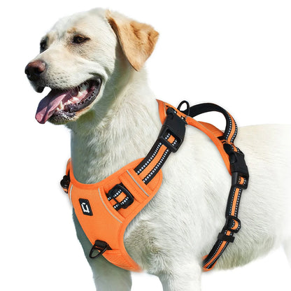 harnais gilet chien anti traction rembourré poignée contrôle