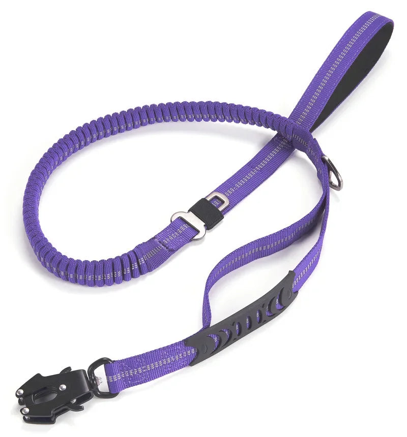 laisse élastique pour chien anti traction réfléchissante