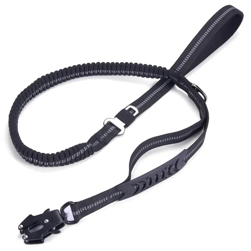 laisse élastique pour chien anti traction réfléchissante