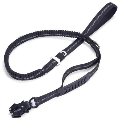 laisse élastique pour chien anti traction réfléchissante