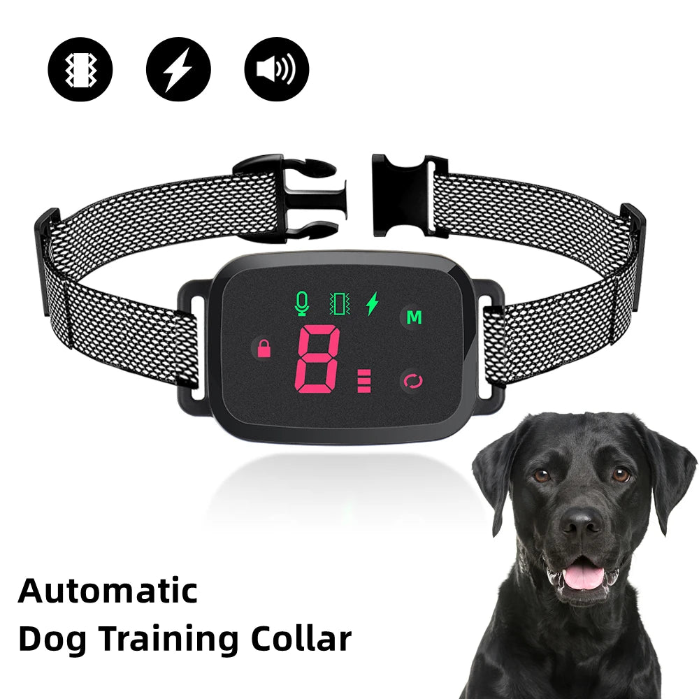 collier anti-aboiement intelligent