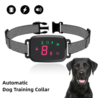 collier anti-aboiement intelligent
