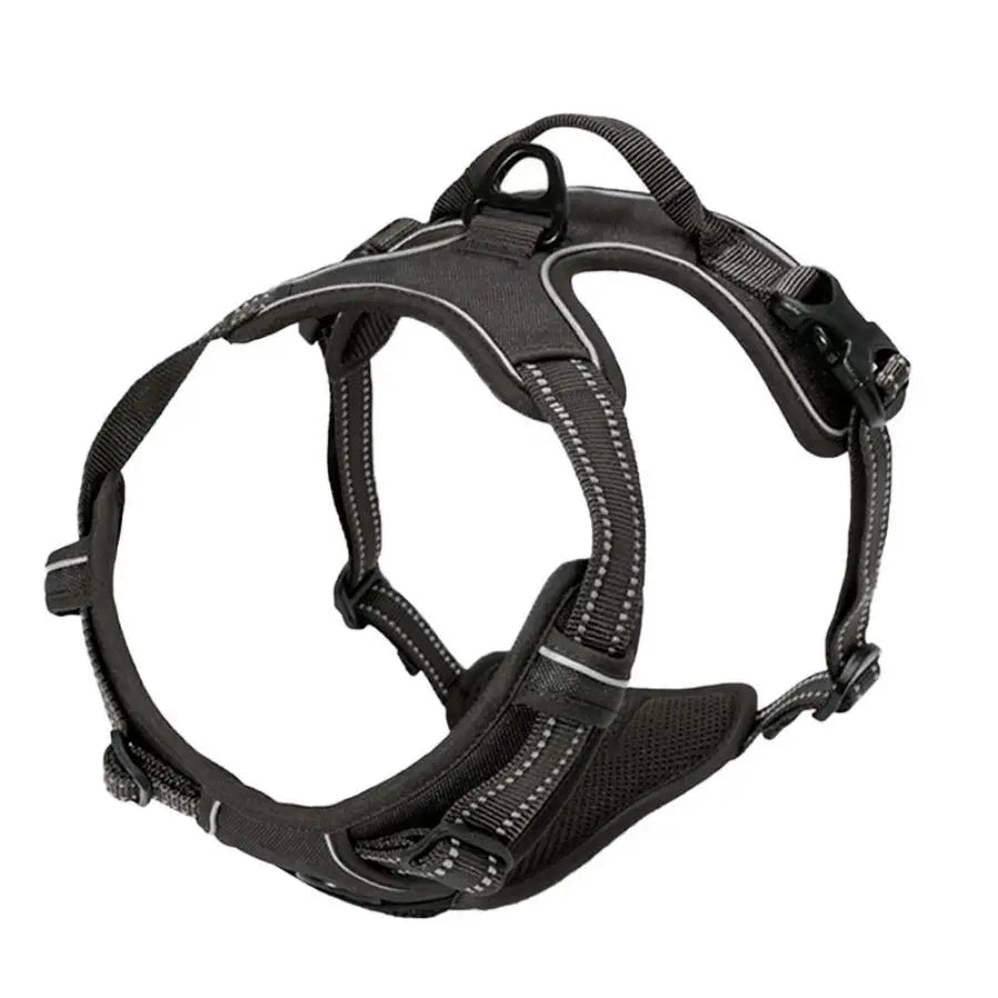 harnais anti-traction chien