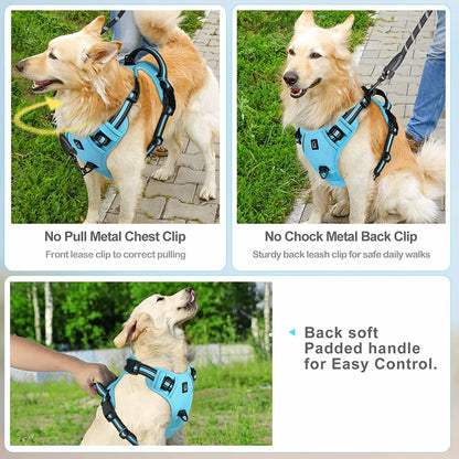 harnais gilet chien anti traction rembourré poignée contrôle