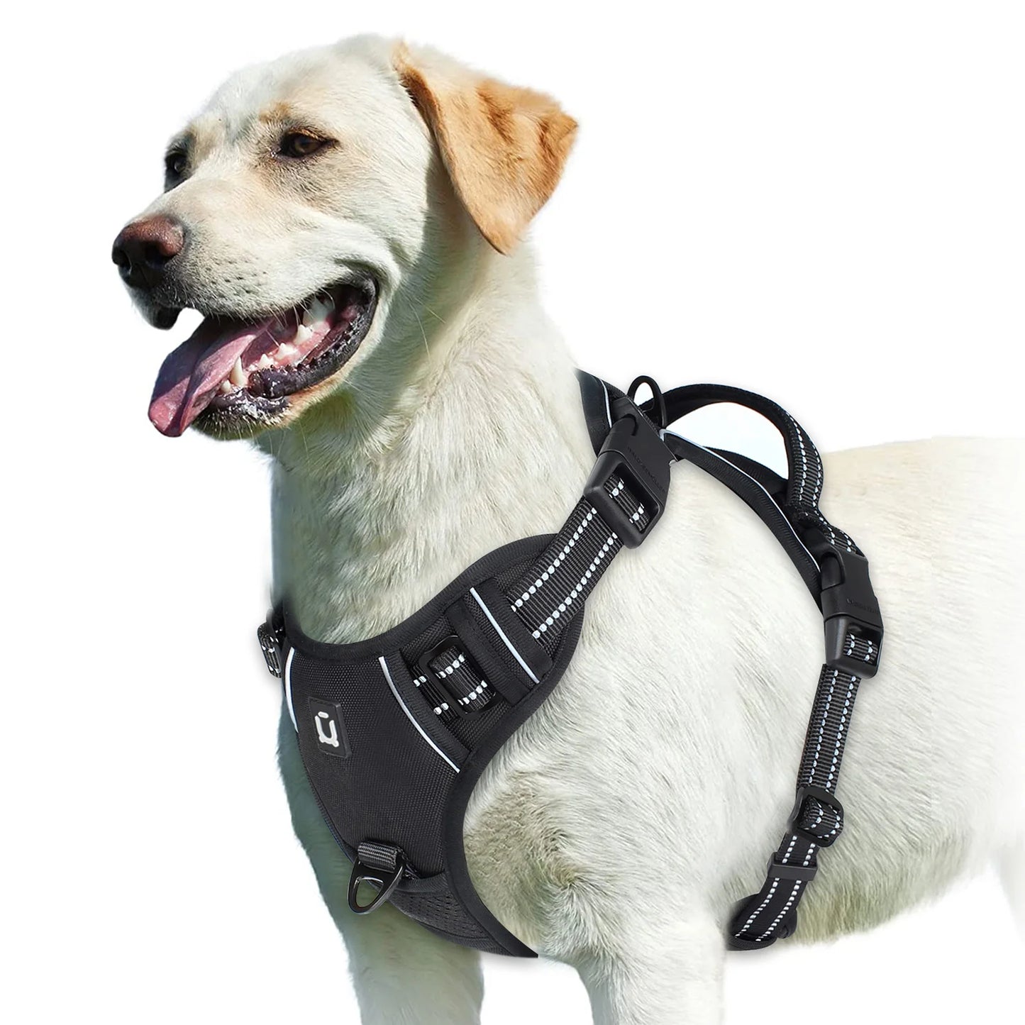 harnais gilet chien anti traction rembourré poignée contrôle
