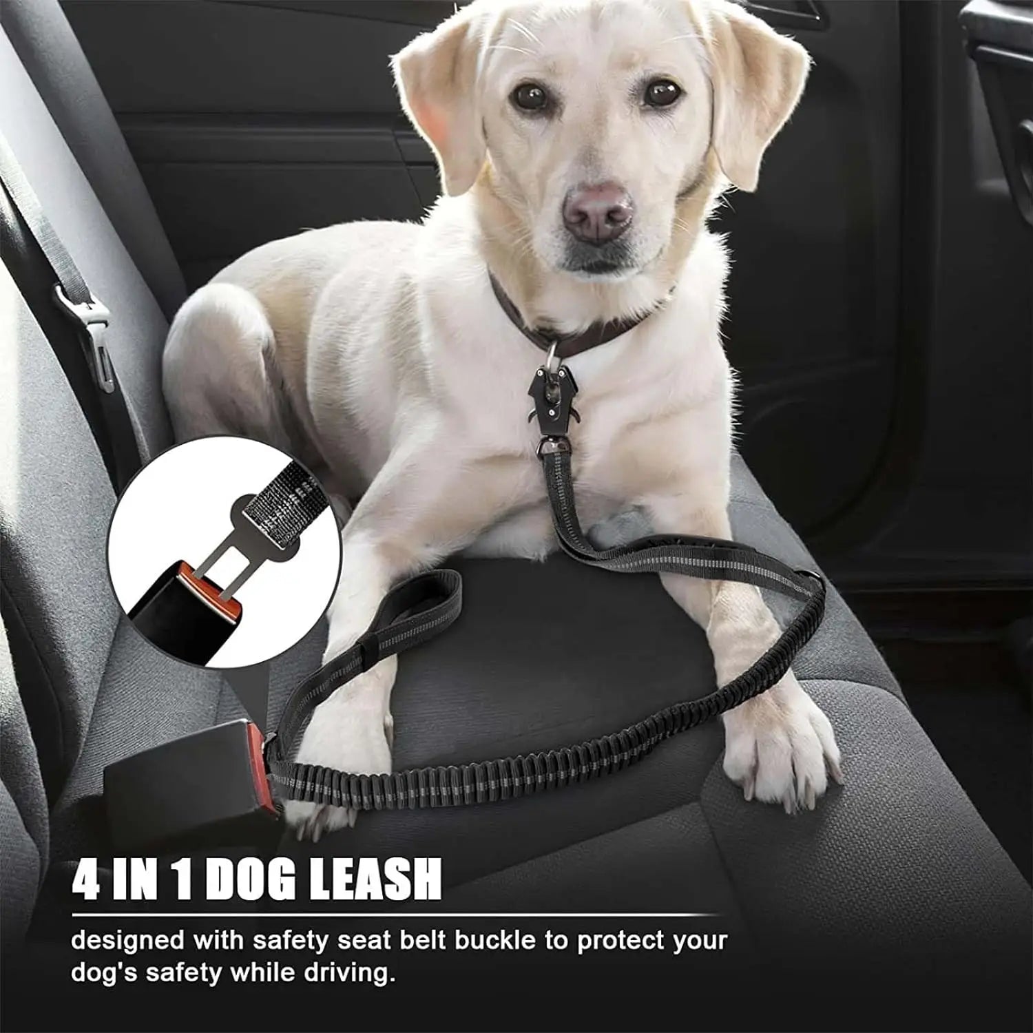 laisse élastique pour chien anti traction réfléchissante