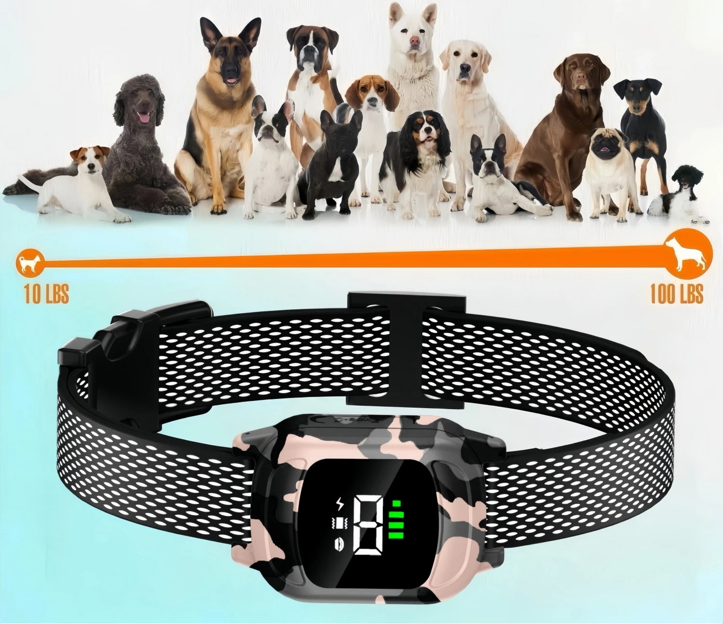 collier anti aboiement automatique chien