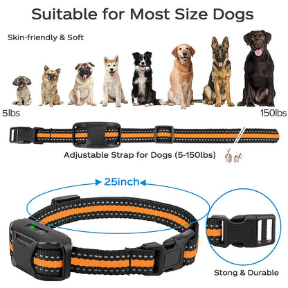 collier de dressage électrique pour chien