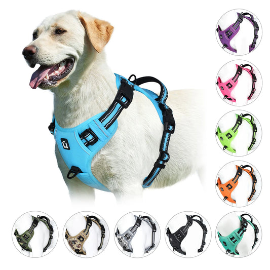 harnais gilet chien anti traction rembourré poignée contrôle