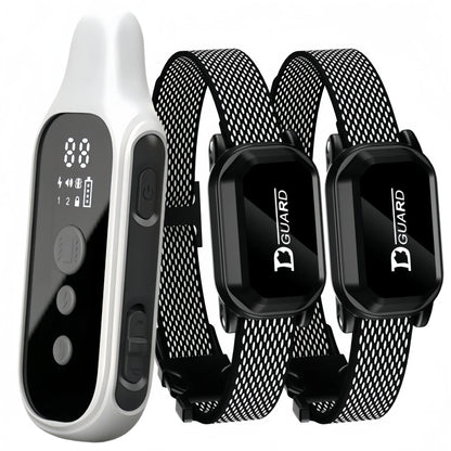 collier de dressage chien 800m