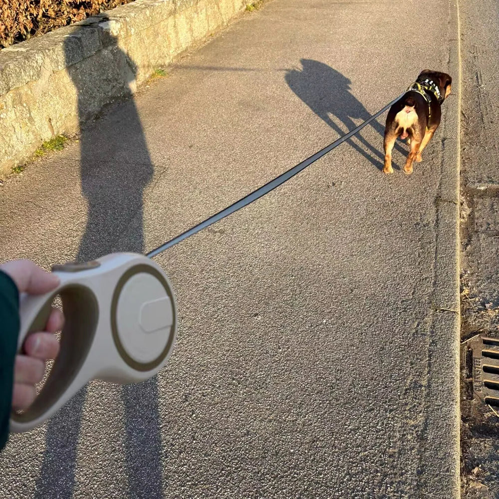 laisse rétractable pour chien 8m