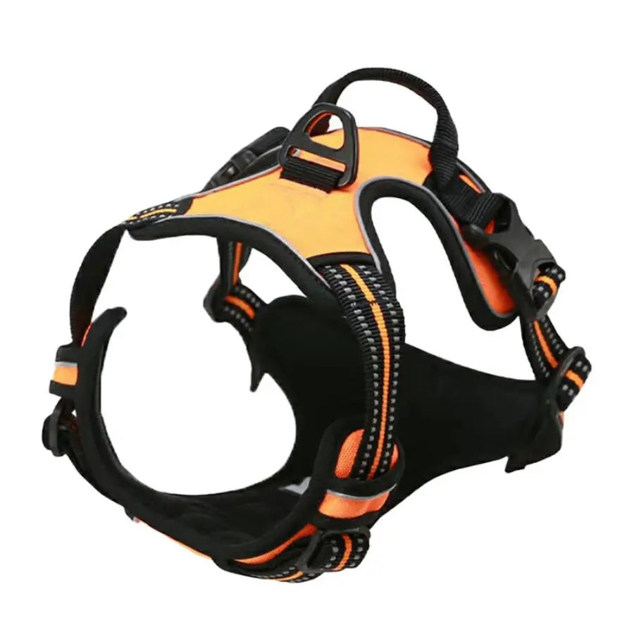 harnais anti-traction chien