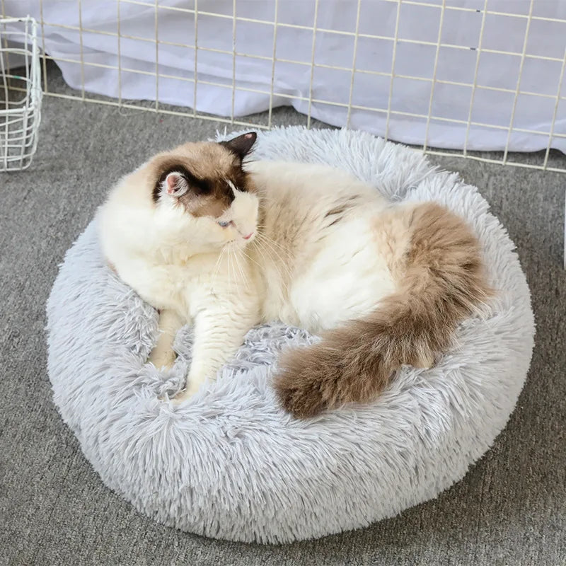 lit douillet pour chat et chien