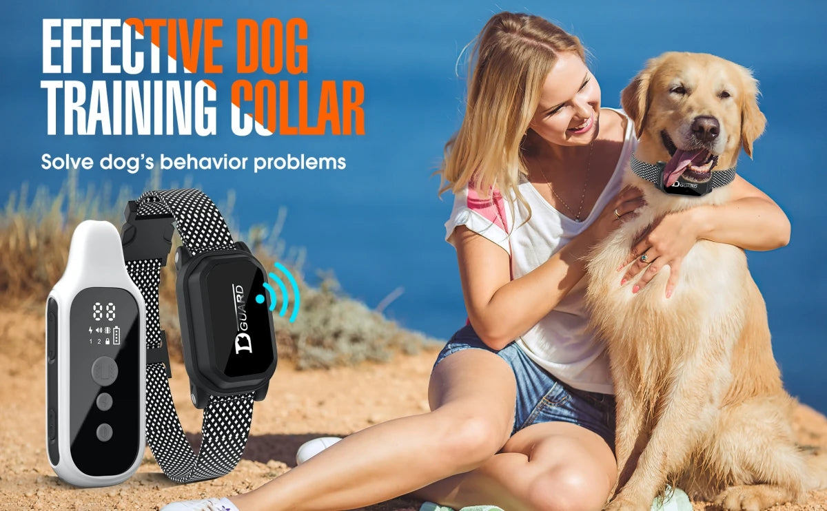 collier de dressage chien 800m