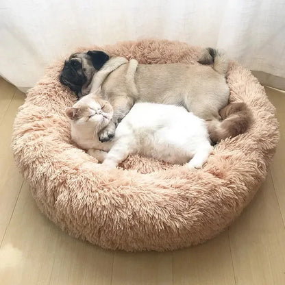 lit douillet pour chat et chien