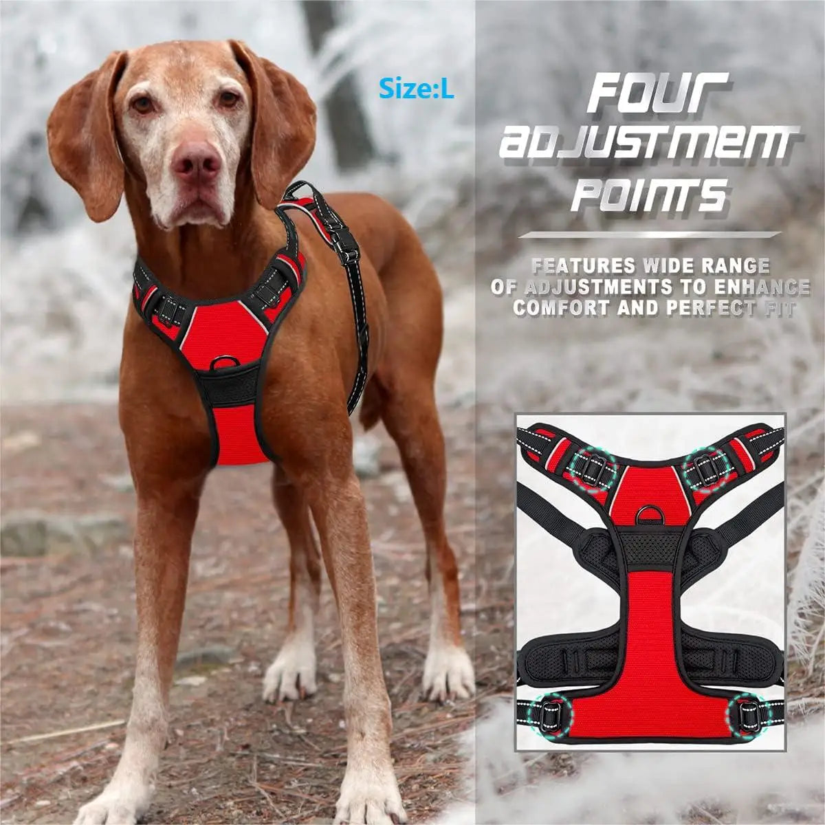 harnais anti-traction chien