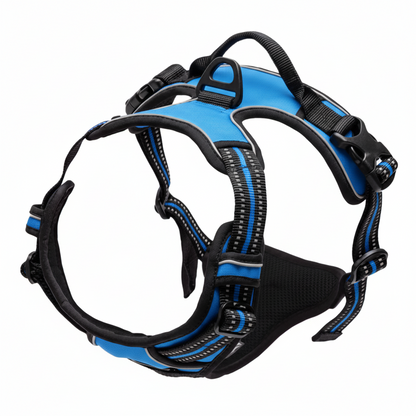 harnais anti-traction chien
