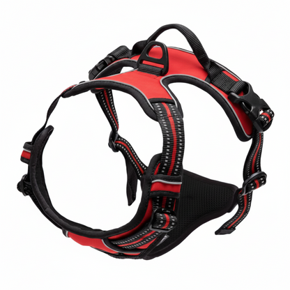 harnais anti-traction chien